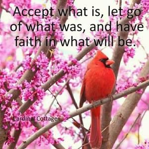 Meet your Posher, Ann